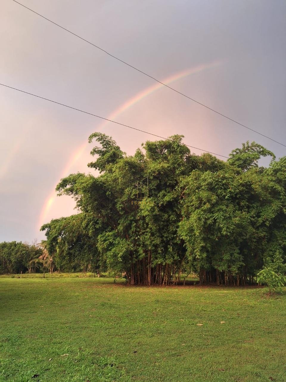 Vende-se Chácara Porteira fechada,  Santo Antônio do Leverger MT — foto 5