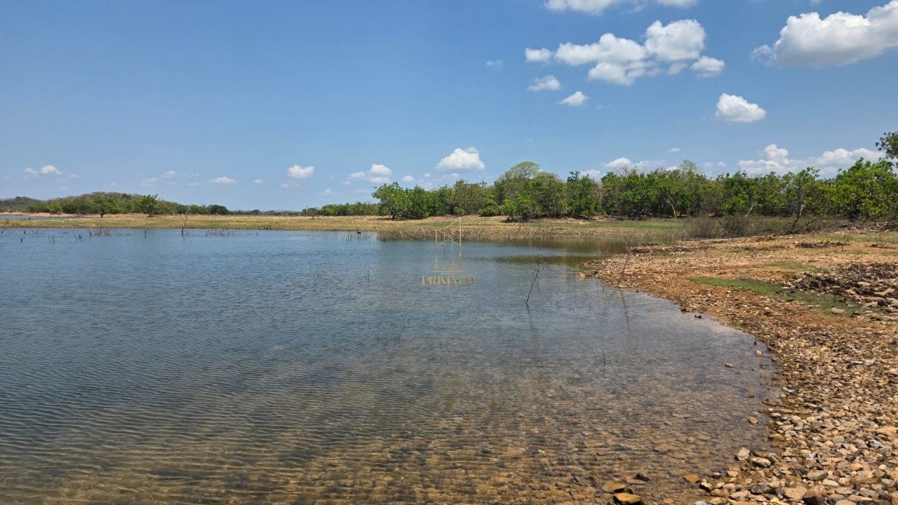 SÍTIO À VENDA - 194 HECTARES — foto 1
