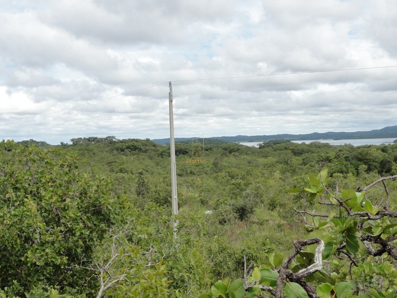 SÍTIO À VENDA - 194 HECTARES — foto 3