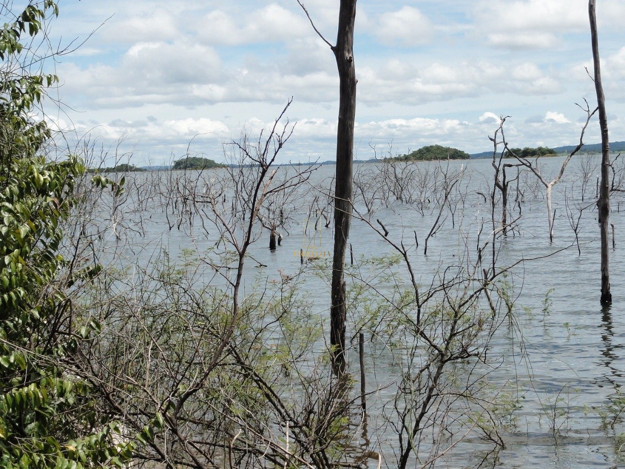 SÍTIO À VENDA - 194 HECTARES — foto 4