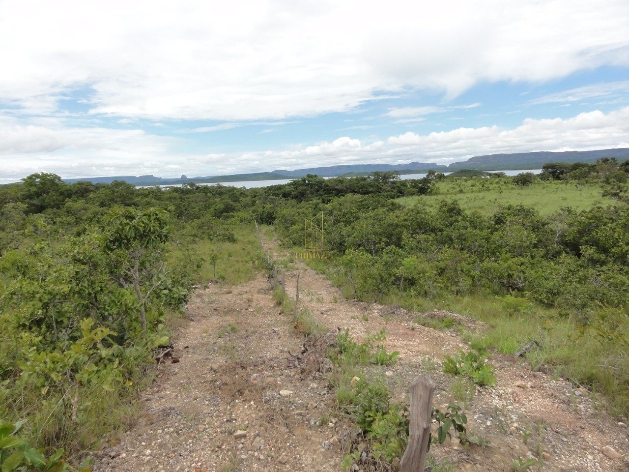 SÍTIO À VENDA - 194 HECTARES — foto 5