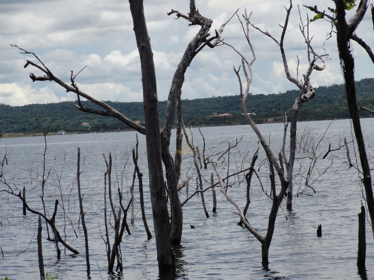 SÍTIO À VENDA - 194 HECTARES — foto 7
