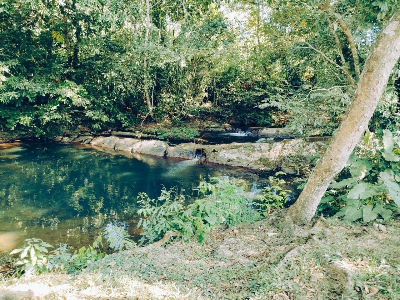 Sítio em Campo Verde - Ponce de Arruda — foto 5
