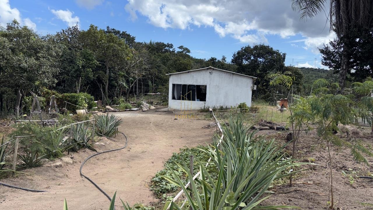 OPORTUNIDADE DE SÍTIO PRODUTIVO -MORADIA OU INVESTIMENTO RURAL — foto 7