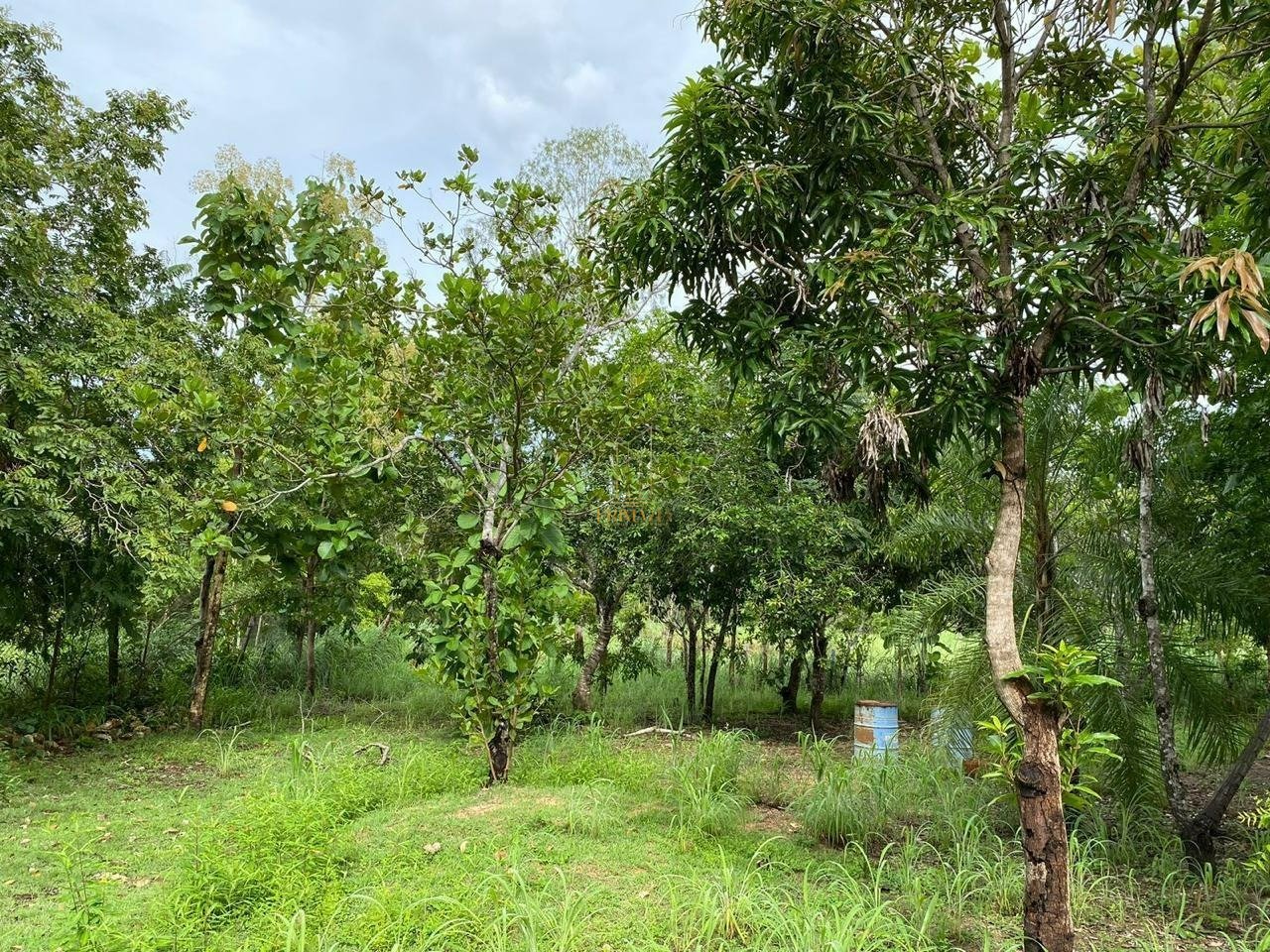 Chácara à venda em Cuiabá - Zona Rural — foto 1