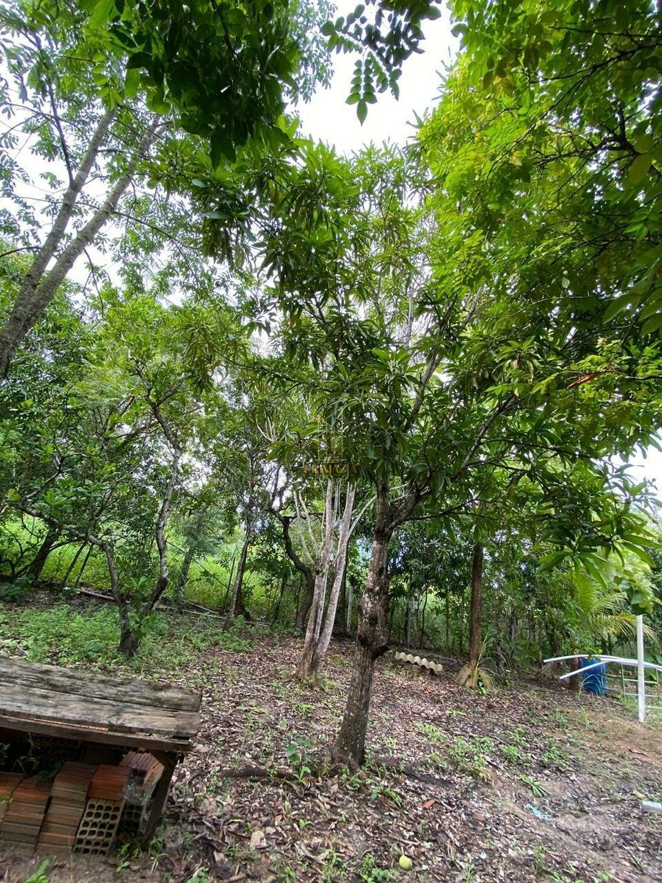 Chácara à venda em Cuiabá - Zona Rural — foto 5