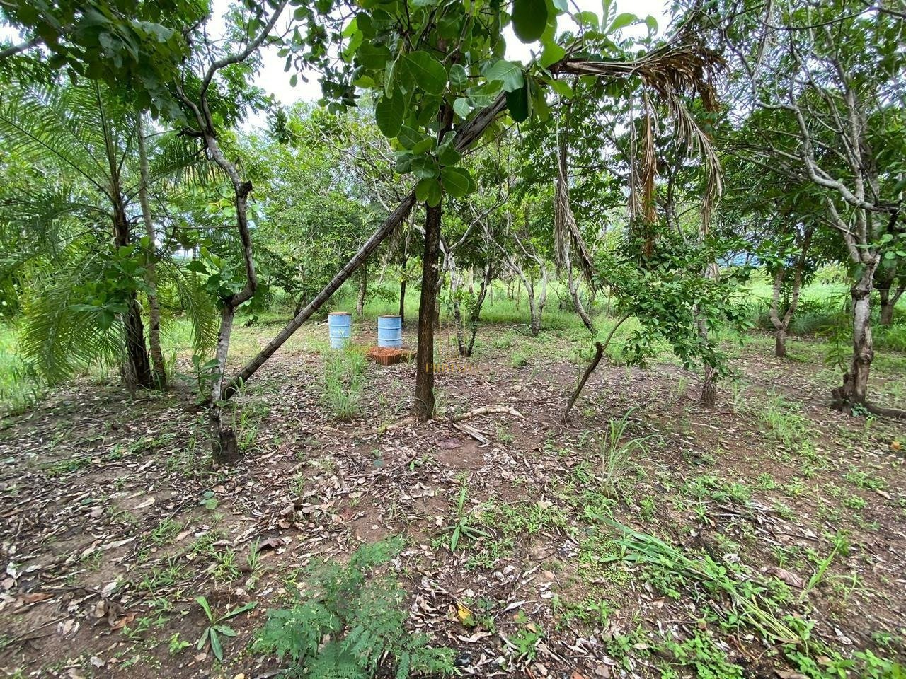Chácara à venda em Cuiabá - Zona Rural — foto 4