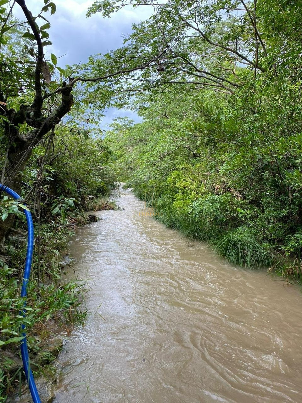 Chácara à venda em Cuiabá - Zona Rural — foto 7