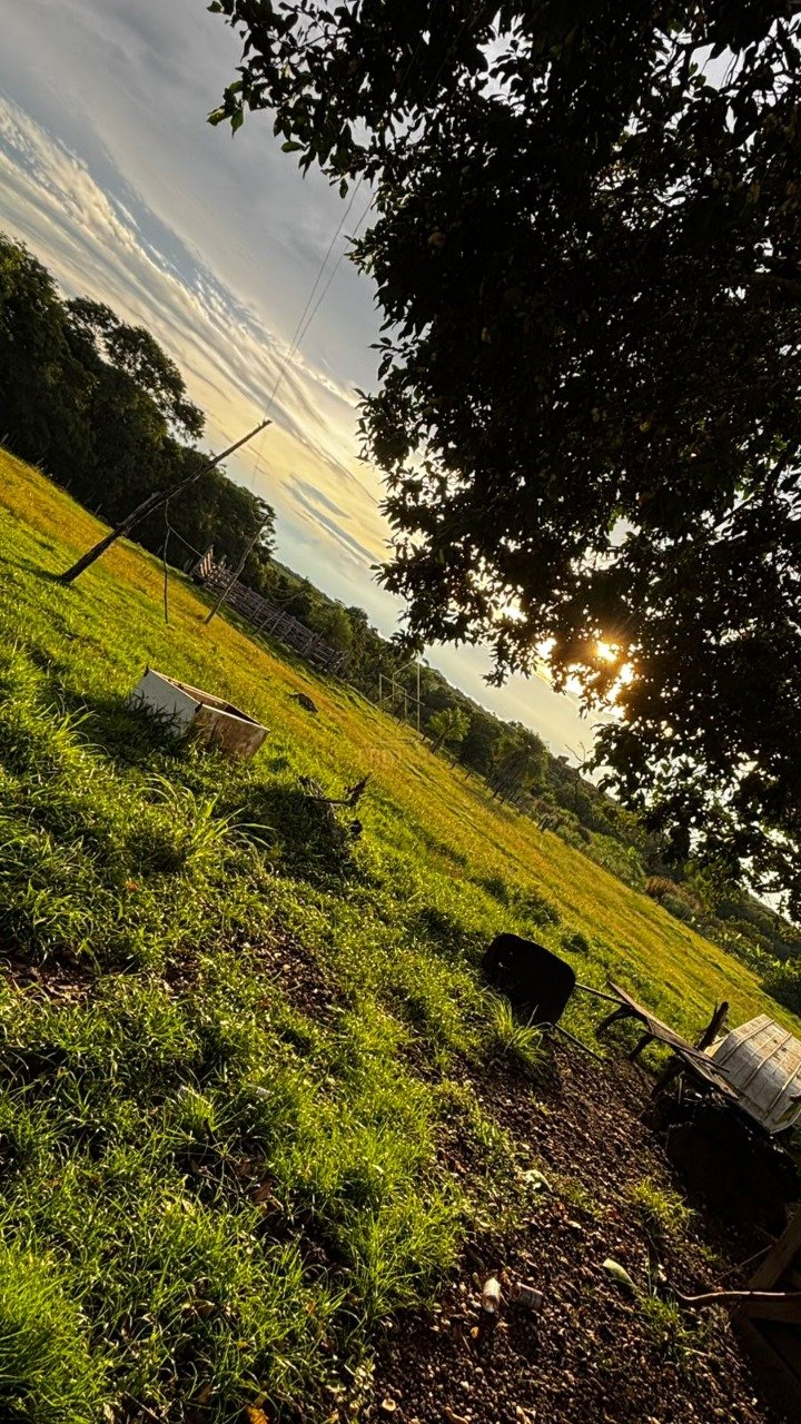 Sítio à venda na Zona Rural de Poconé — foto 5
